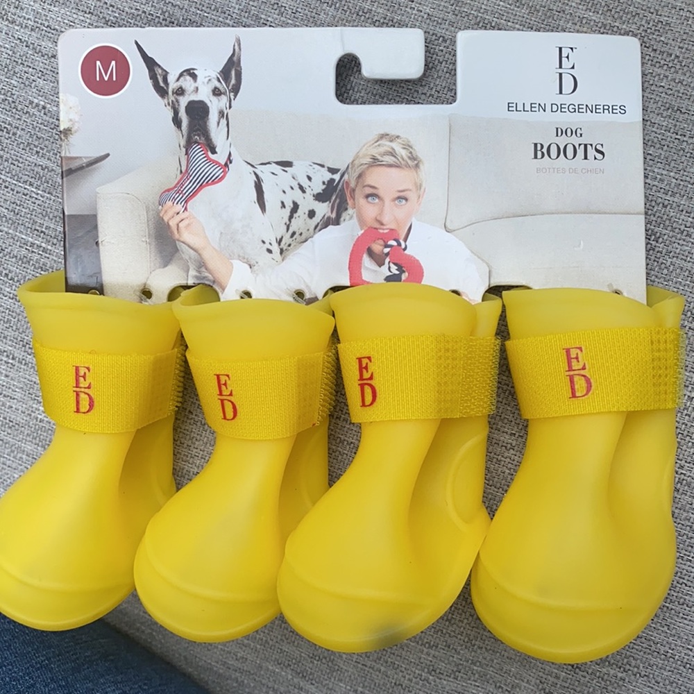 Yellow Ellen Degeneres Medium Dog Rain-boots